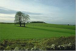 cotswold scenery