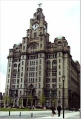 liver building