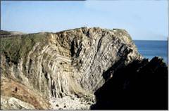 fossils on the Dorset coast