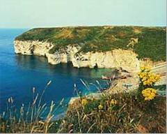 Yorkshire coast