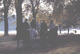 serpentine lake
