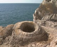 Fossil Forest, Lulworth Cove, Dorset